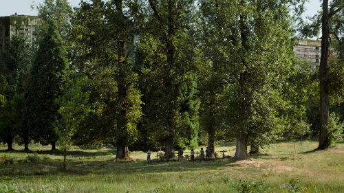 The_Last_of_Us_2x01_0146.jpg