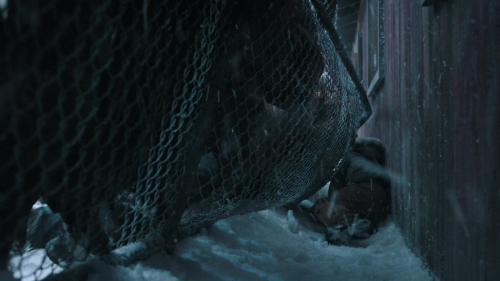 The_Last_of_Us_2x02_1885.jpg