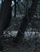 Unbelievable_1x02_3385.jpg