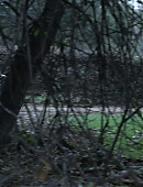 Unbelievable_1x02_3386.jpg