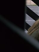 Filename=Unbelievable_1x08_1382.jpg
Filesize=102KiB
Dimensions=1920x960
Date added=10.18.25 Unbelievable_1x08_1382.jpg