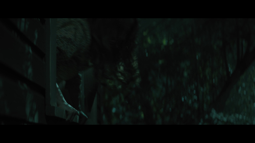 No_One_Will_Save_You_3905.jpg