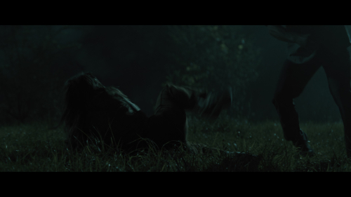 No_One_Will_Save_You_4133.jpg