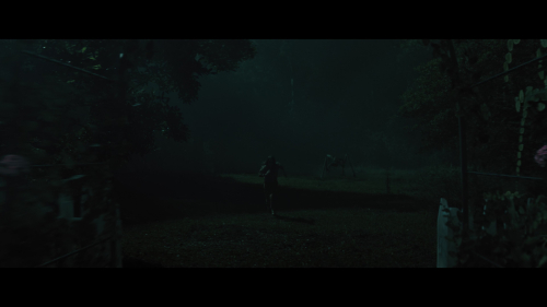 No_One_Will_Save_You_4212.jpg