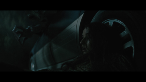 No_One_Will_Save_You_4367.jpg