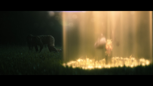 No_One_Will_Save_You_5331.jpg