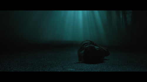 No_One_Will_Save_You_6240.jpg
