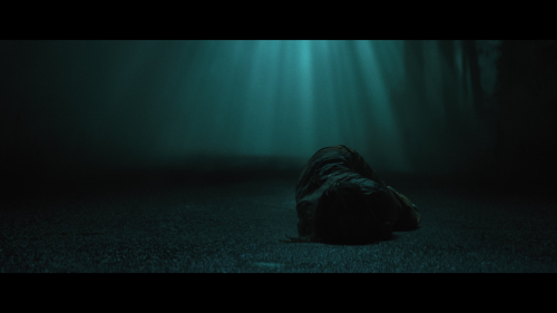 No_One_Will_Save_You_6241.jpg