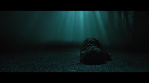 No_One_Will_Save_You_6242.jpg