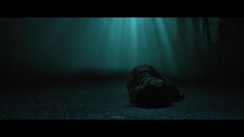 No_One_Will_Save_You_6244.jpg