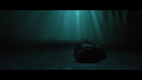 No_One_Will_Save_You_6245.jpg