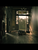 Filename=No_One_Will_Save_You_1798.jpg
Filesize=460KiB
Dimensions=3840x2160
Date added=11.23.25 No_One_Will_Save_You_1798.jpg