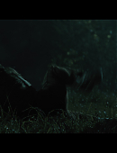 No_One_Will_Save_You_4133.jpg