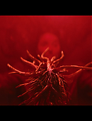 Filename=No_One_Will_Save_You_4928.jpg
Filesize=274KiB
Dimensions=3840x2160
Date added=11.23.25 No_One_Will_Save_You_4928.jpg