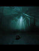 Filename=No_One_Will_Save_You_6246.jpg
Filesize=297KiB
Dimensions=3840x2160
Date added=11.23.25 No_One_Will_Save_You_6246.jpg