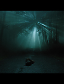 Filename=No_One_Will_Save_You_6247.jpg
Filesize=297KiB
Dimensions=3840x2160
Date added=11.23.25 No_One_Will_Save_You_6247.jpg